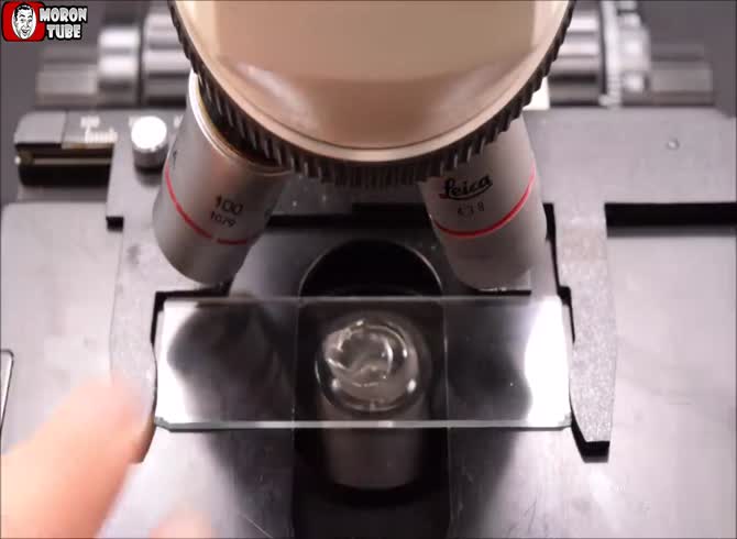 Video :What is the LifeStraw filtering system's effectiveness